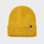 Beanie hat